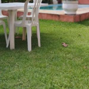 Pousada Natureza