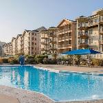 Relax surrounded by nature in this 1BD resort condo with resort amenities