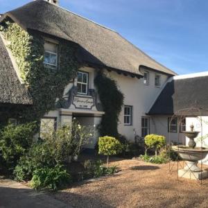 In the Vine Country Manor House