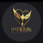 Imperial Stay BNB Brooklyn New York