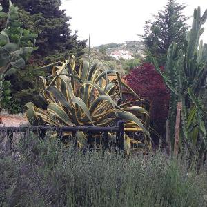 Villa Cangiani
