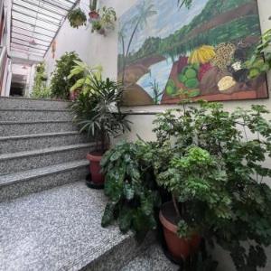 Hotel Toraryca