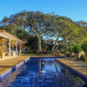 Peace and Tranquility in Manguinhos - BUZ009
