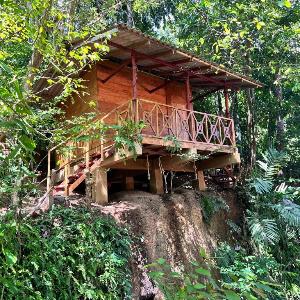 Gioia House
