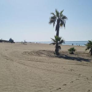 Morning Sun Duna 1