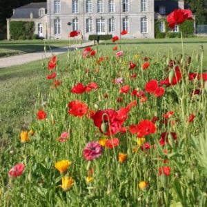 Chambres d'Hôtes Château de Martragny