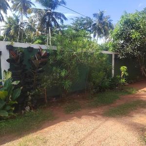 JK House Turtle Point