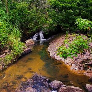 Creek Downhills