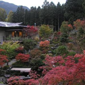 Nikko Hotels Deals At The 1 Hotel In Nikko Japan - 