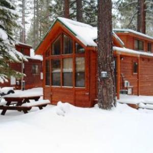 Hotels near Whiskey Dick's South Lake Tahoe - Cedar Pines Resort