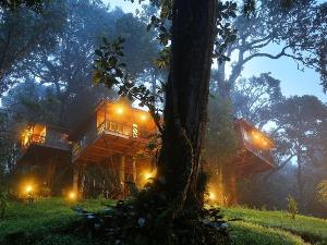 Nature Zone Jungle Resort, Munnar