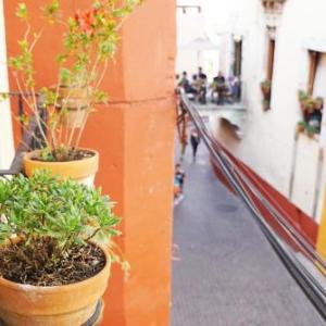 Hostal Encounter Guanajuato