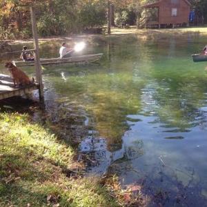 Berry Creek Cabins