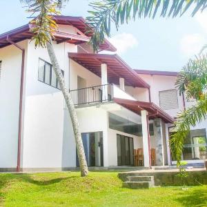 The Coconut tree villa