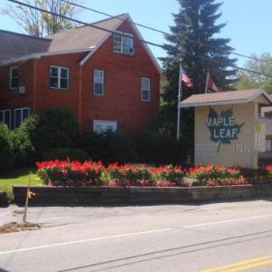 Maple Leaf Inn Lake Placid