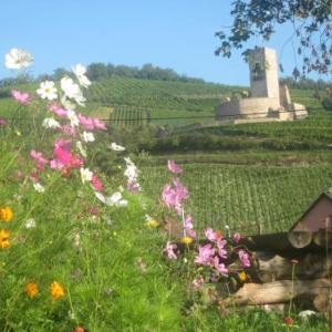 Ecologis du Vignoble