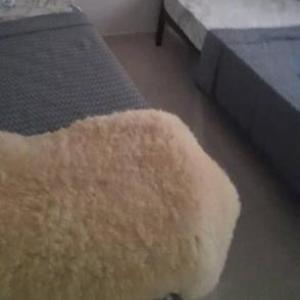 Casa Temporada na Enseada da Pinheira Passagem