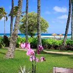 4-Bed Villa 104 at Turtle Bay Kahuku Hawaii
