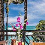 Villa 202 at Turtle Bay