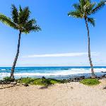 Kona Reef#B15 Hawaii