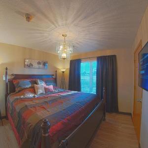Waterloo Suites King