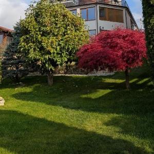 Nature Nest Bran - Adults Only