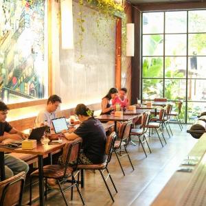 Leaf Sustainable Hostel