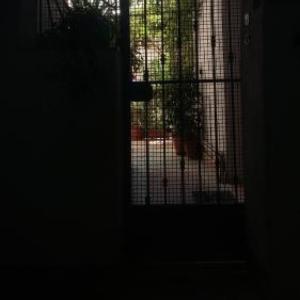B&B Il Nespolo