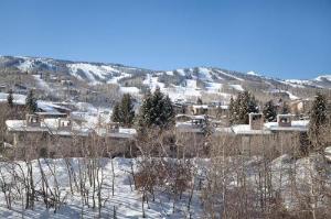 Tamarack Townhomes, a Destination by Hyatt Residence, Snowmass Village