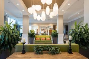 Hilton Garden Inn Asheville Downtown, Asheville