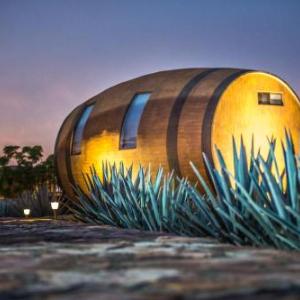 Tequila Hotels Deals At The 1 Hotel In Mexico Matices Hotel De Barricas