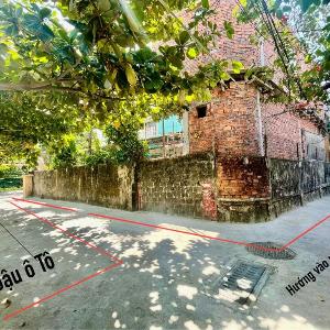 Nhà Bơ Homestay