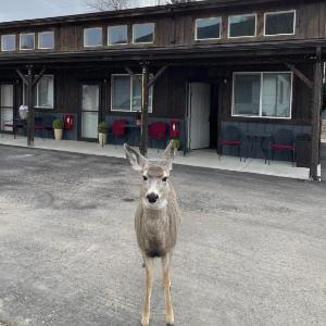 Corral Villas Yellowstone