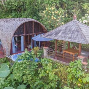 Villa Leona Valley View Ubud