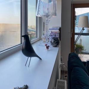 Fred Appartement Lille Centre