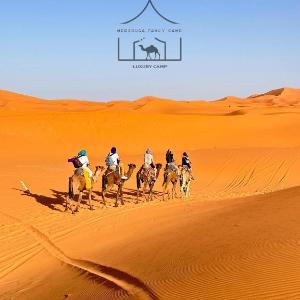 Sahara Delight Camp