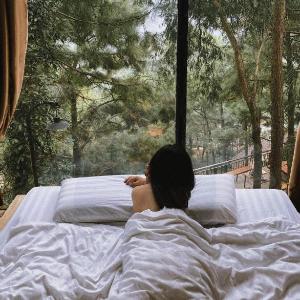 Nhà Gỗ Rừng Thông