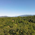 Gatlinburg Treasure Discover Your Mountain Gem Gatlinburg