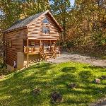 A Beary Good Life Live It Up in the Smokies