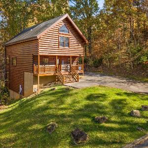 A Beary Good Life Live It Up in the Smokies