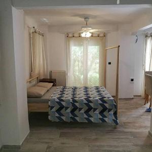 Private Yard Downtown Apartment D1