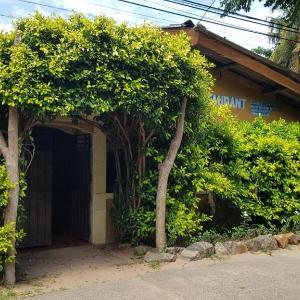 Kingfisher Guesthouse and Hostel