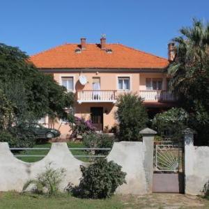 Apartments for families with children Privlaka Zadar - 5747