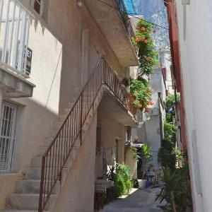 Apartments Soline