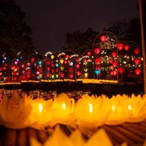 The Hive Homestay - Tam Coc