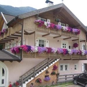 Cesa Flavia -