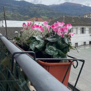 Emmie House Aosta Centro