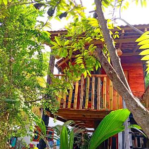 Parrot Tree House