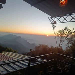 Kodai Woodhouse
