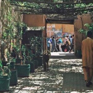Dar Marhaba